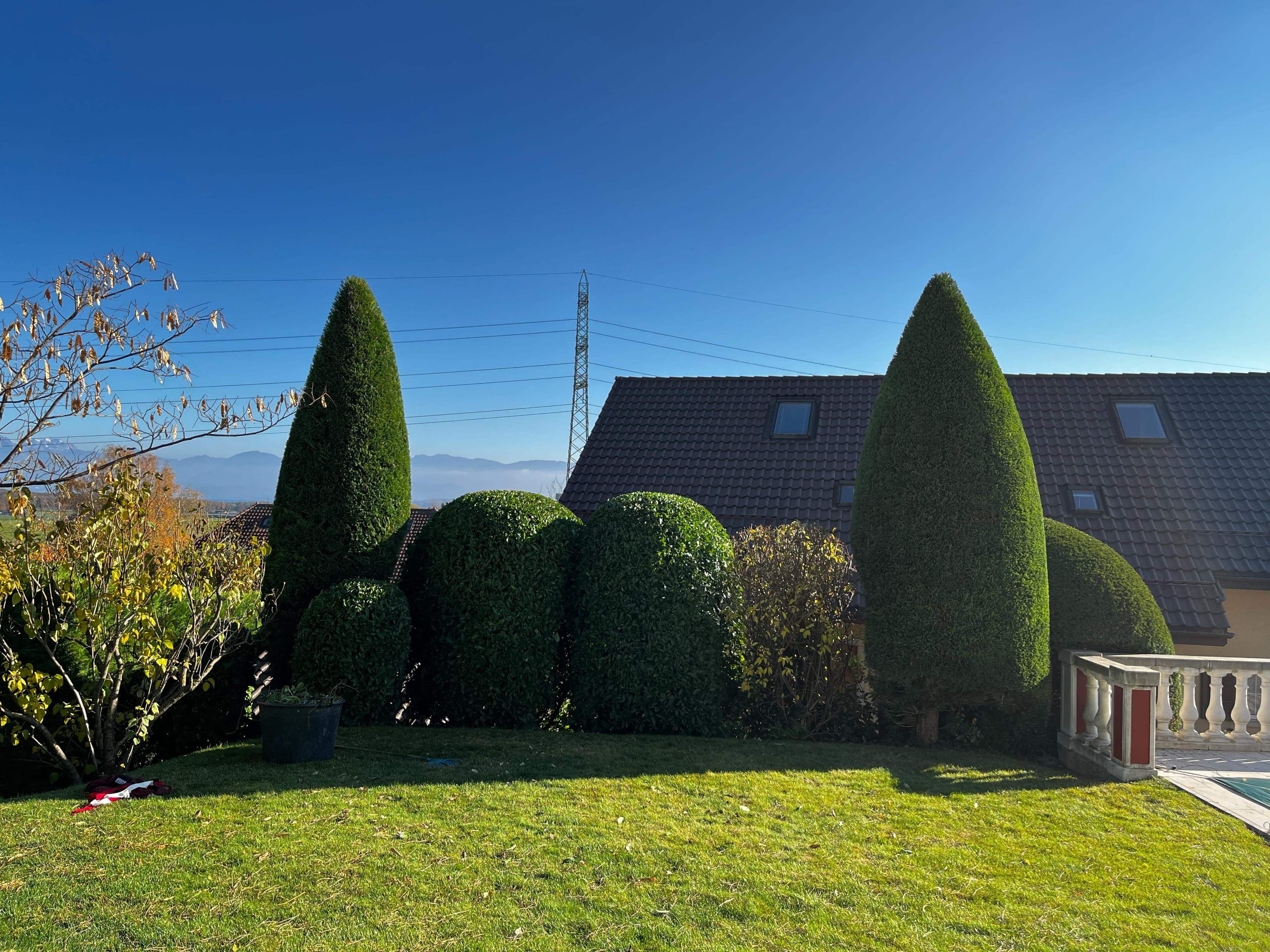 Taille des haies et arbustes