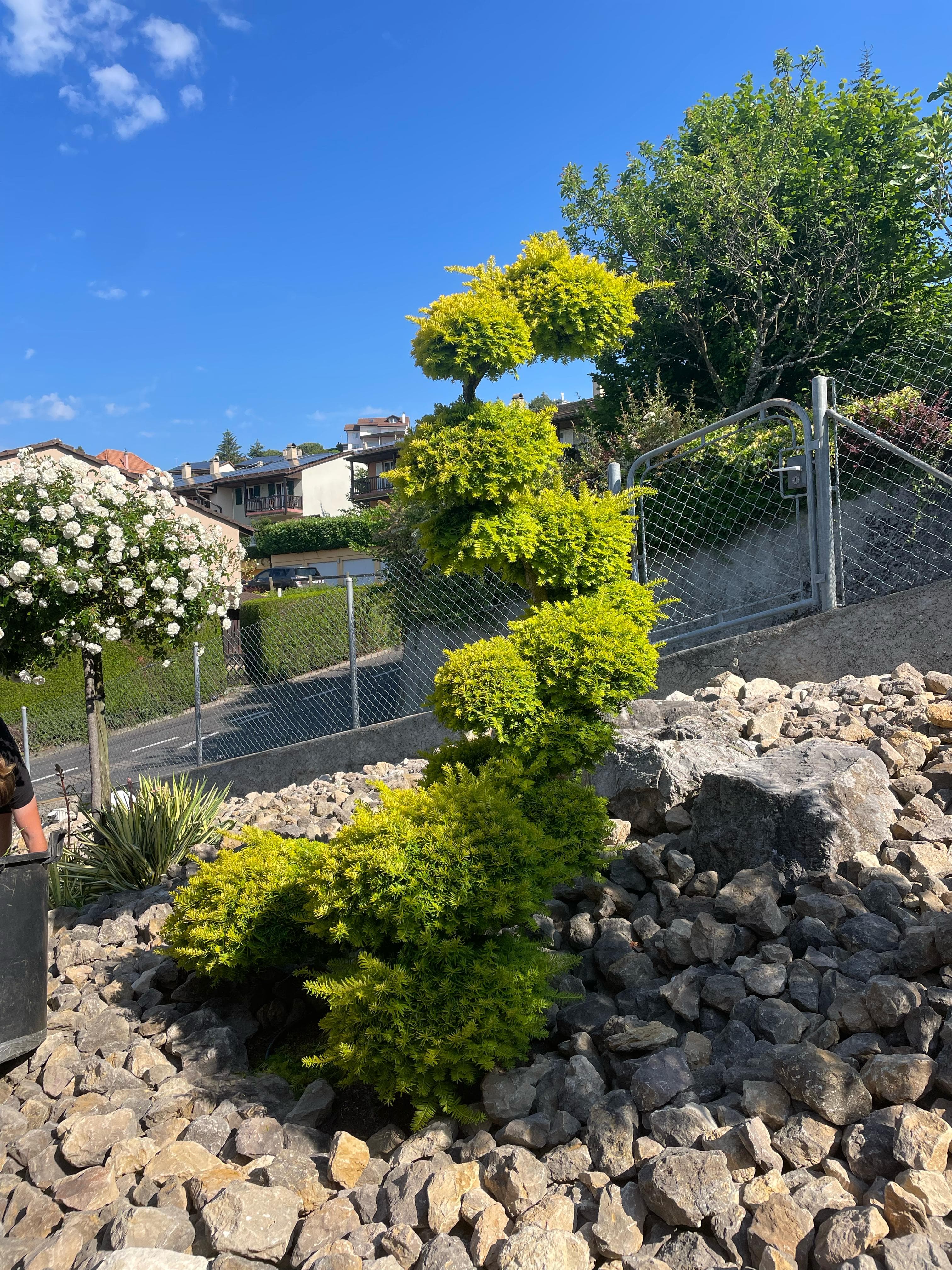 Jardin aménagé par Adenia