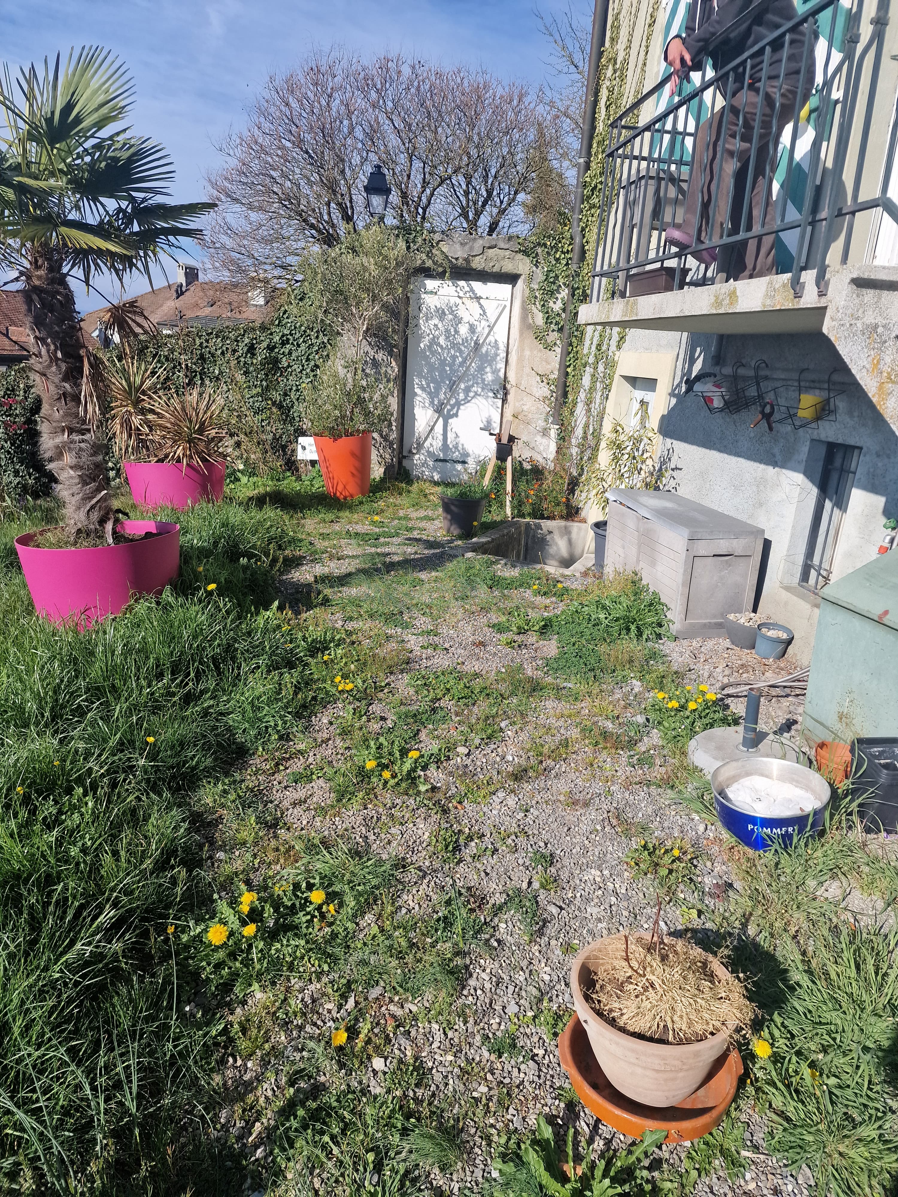 Aménagement de terrasse et jardin - Paysagiste La Côte Suisse