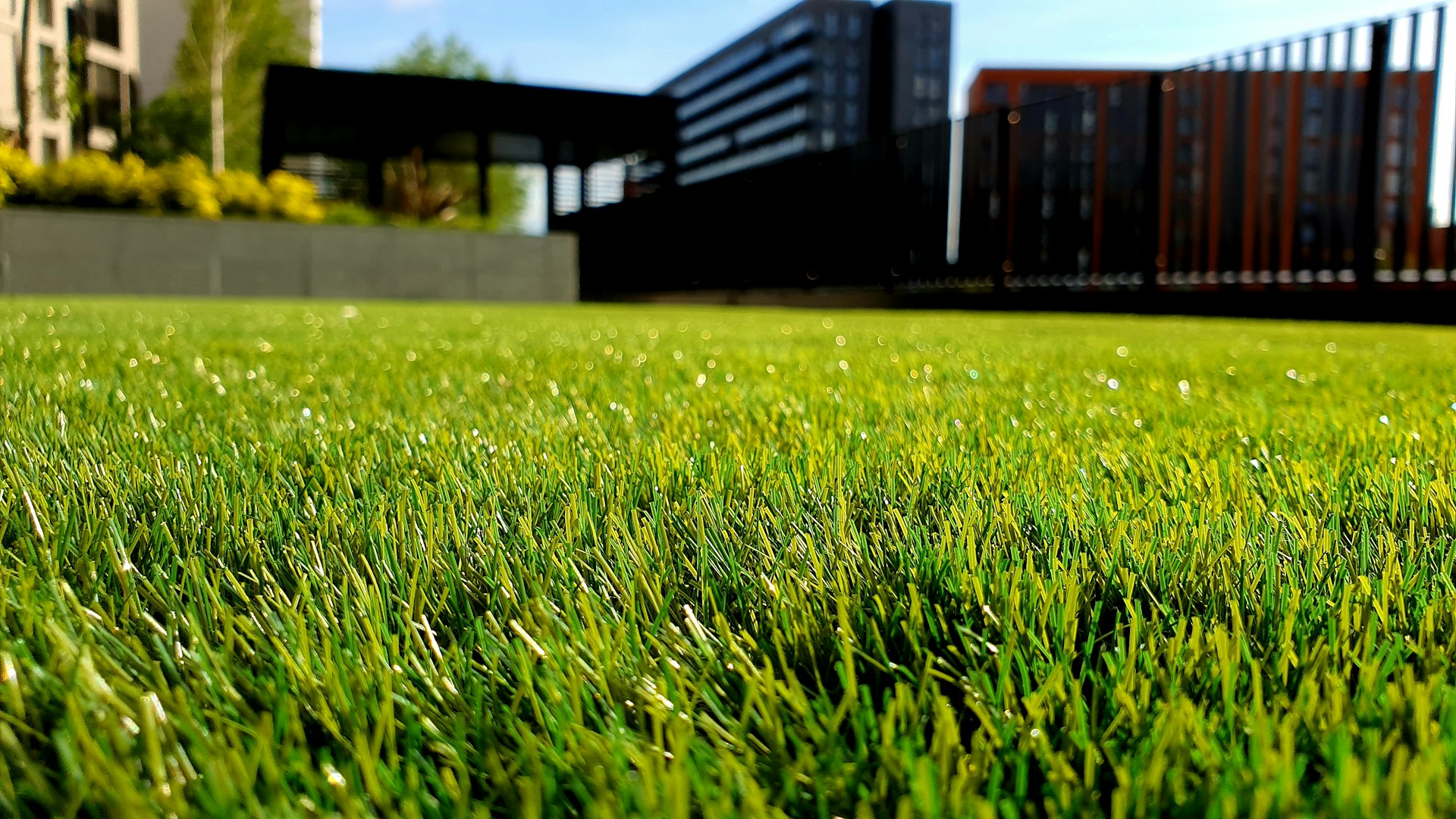 Jardin paysager biologique entretenu par Adenia en Suisse romande - Services 100% écologiques